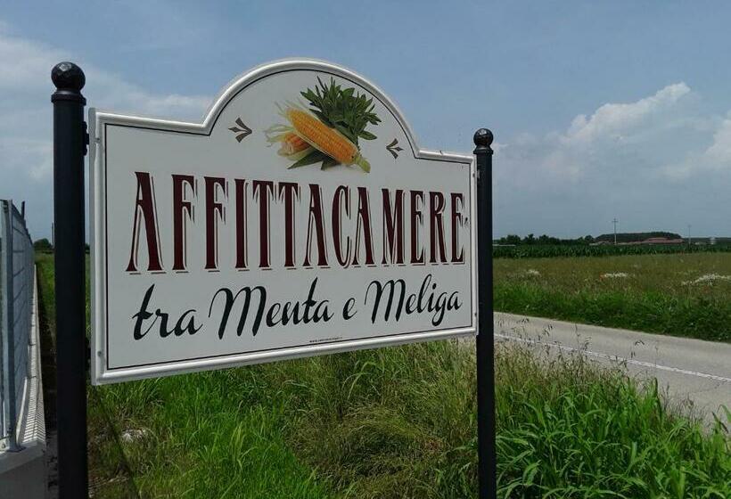 פנסיון Tra Menta E Meliga