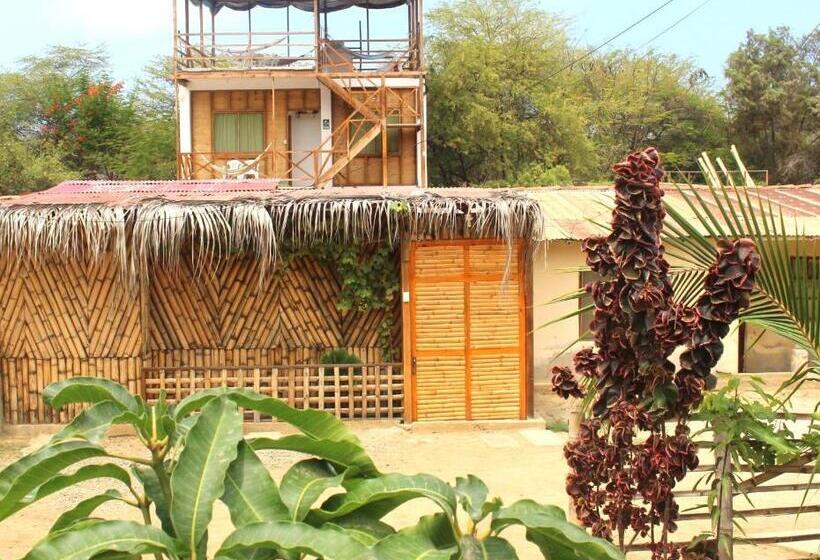 هاستل Qeru House