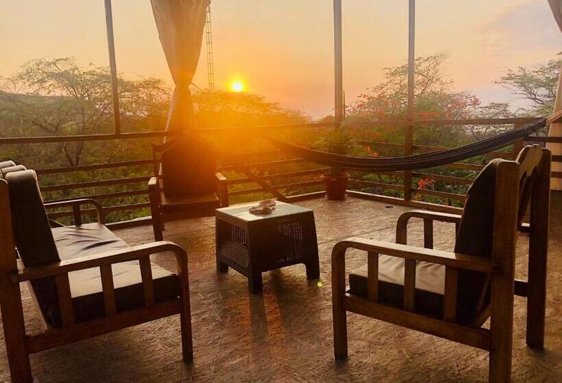 هاستل Qeru House