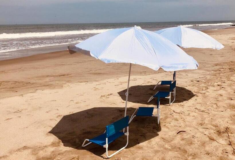 هاستل Qeru House