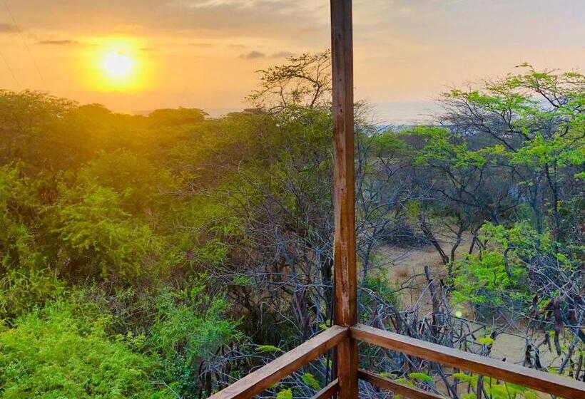 هاستل Qeru House