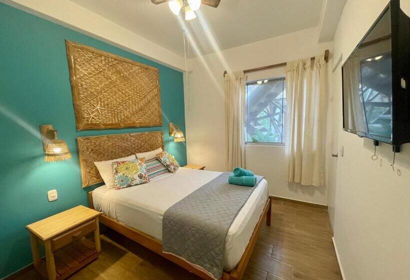 هاستل Qeru House