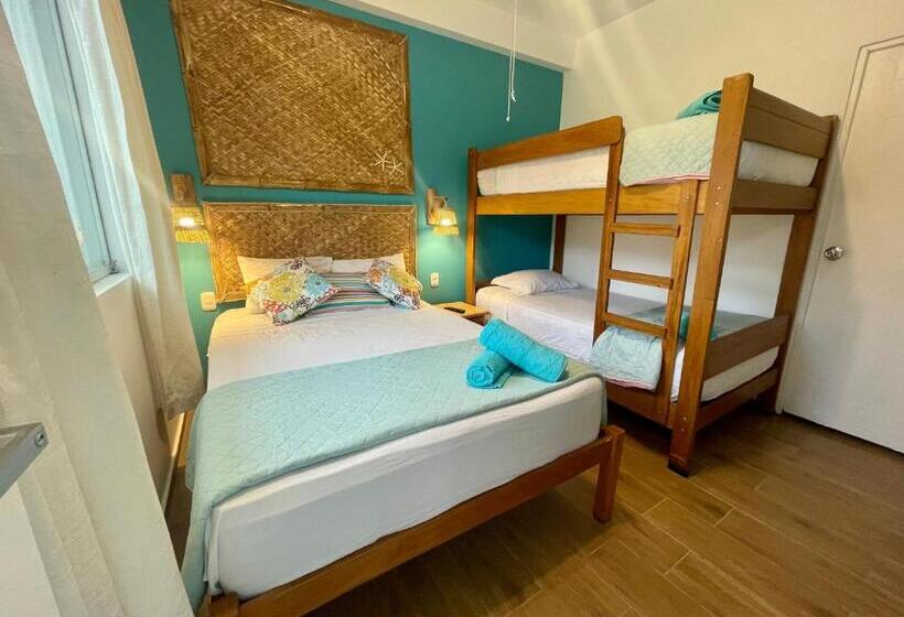 هاستل Qeru House