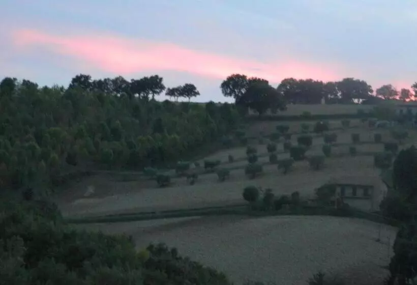 B&b Casa Girasole
