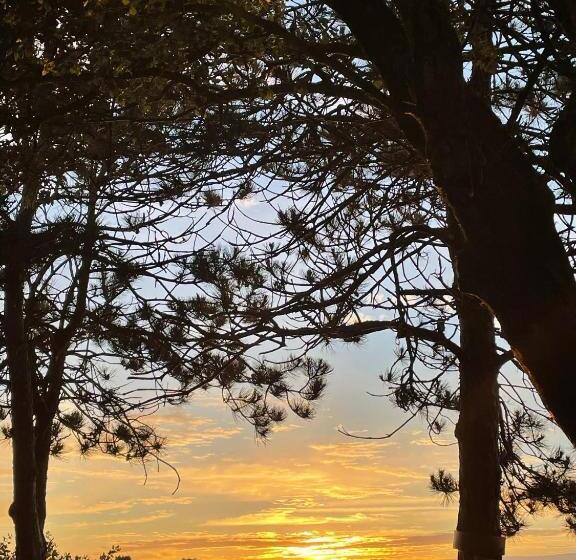 تختخواب و صبحانه Ferme De Maillezais