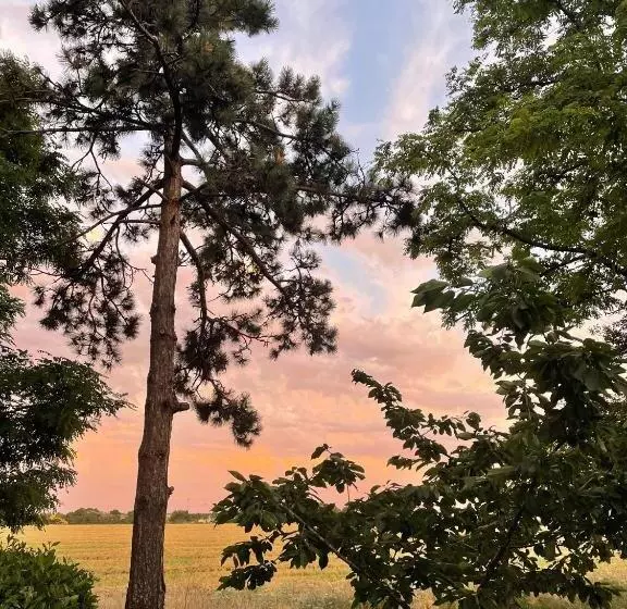 Aamiaismajoitus (B&B) Ferme De Maillezais