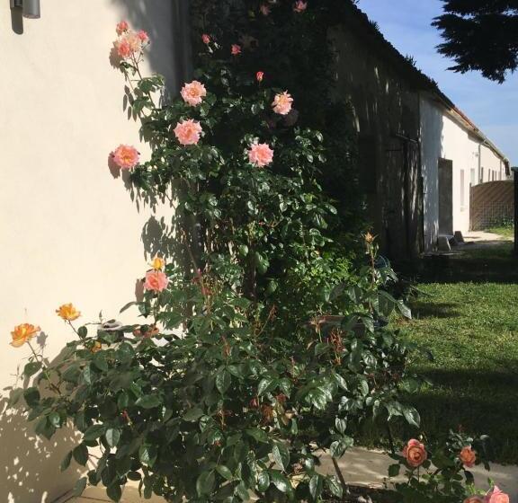 تختخواب و صبحانه Ferme De Maillezais