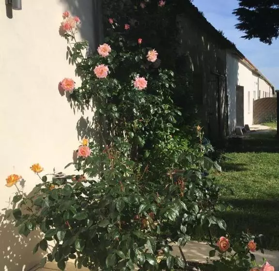 Aamiaismajoitus (B&B) Ferme De Maillezais