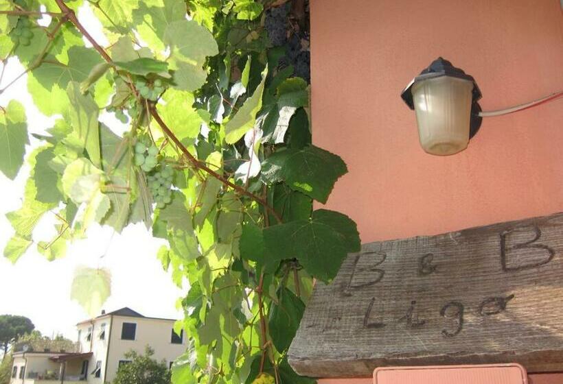 ベッドアンドブレックファースト Ligo