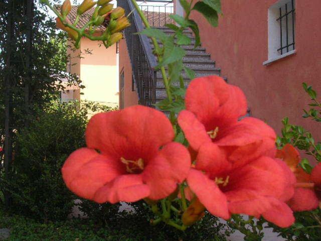 ベッドアンドブレックファースト Ligo