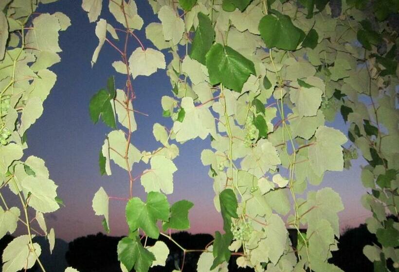 ベッドアンドブレックファースト Ligo