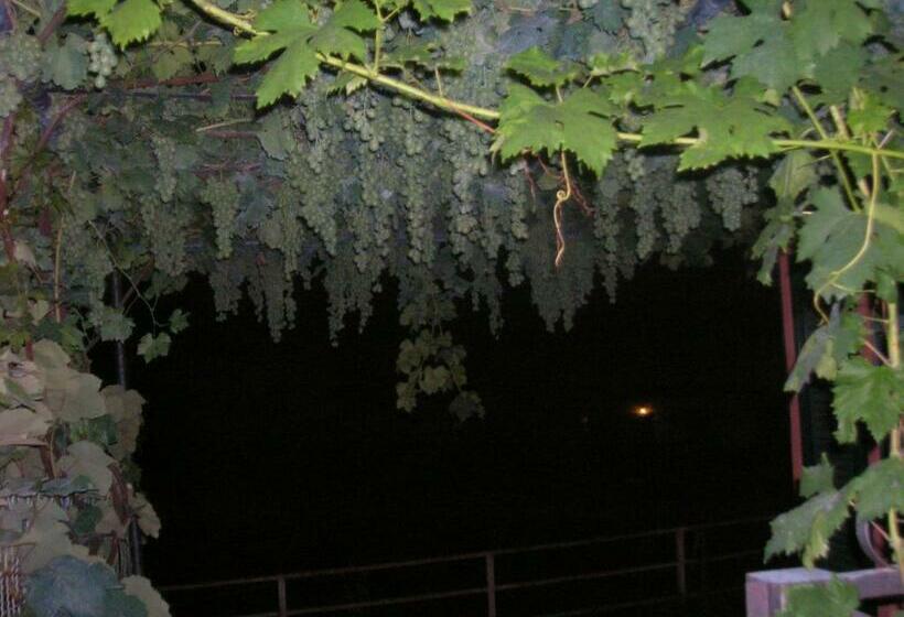 ベッドアンドブレックファースト Ligo