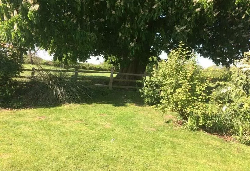 تختخواب و صبحانه Mill Farm