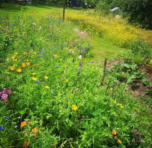 Bed & Breakfast Markelo