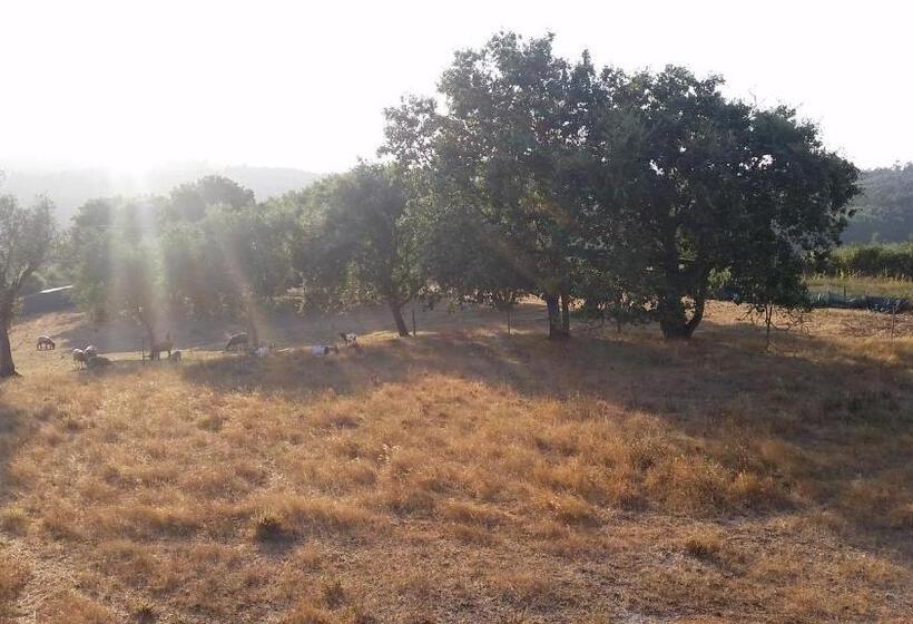 Отель Casa Do Cabeço