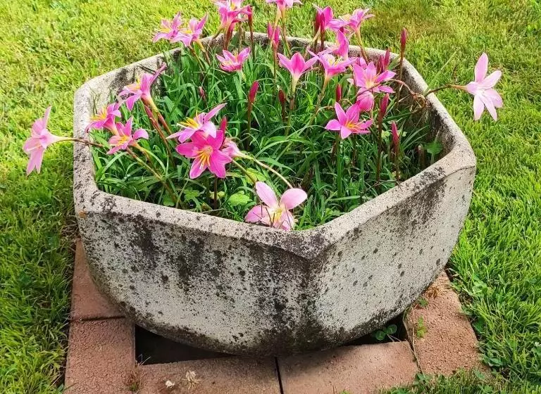 ペンション Bb Guest House Ogliastra