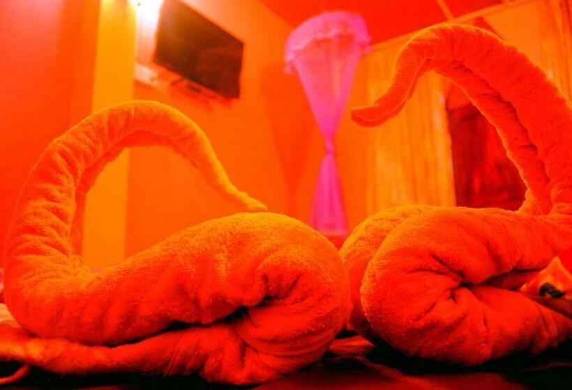 بنسيون Singh Brothers