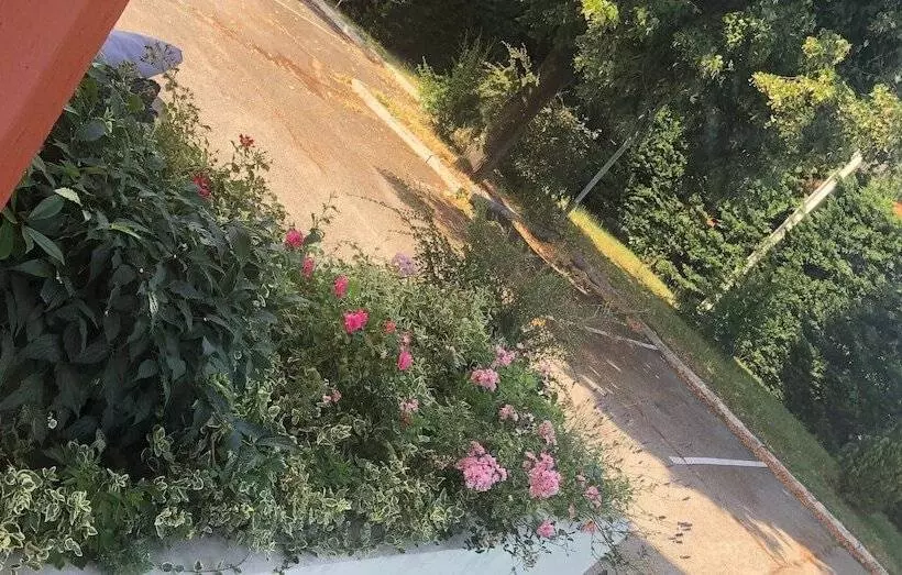 ホテル Adonis Lyon Est Hôtel Artys