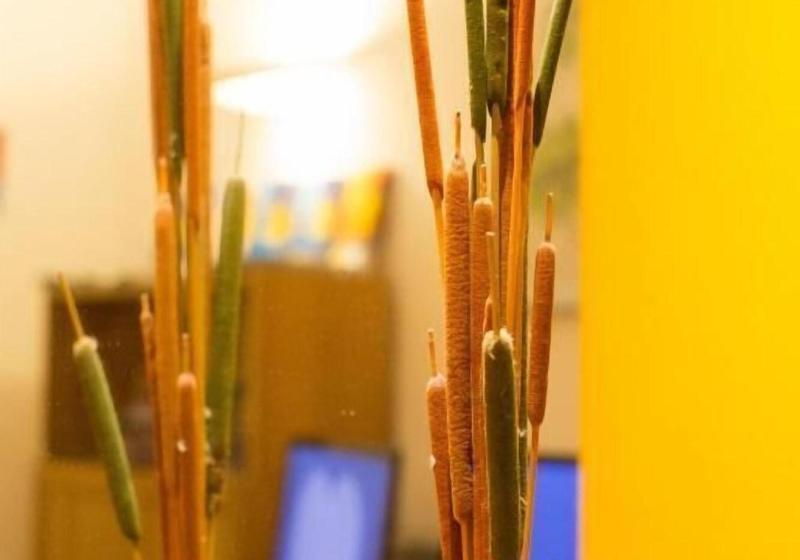 Europe Hotel Vieux Port