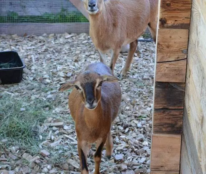 ホテル Guggenberger