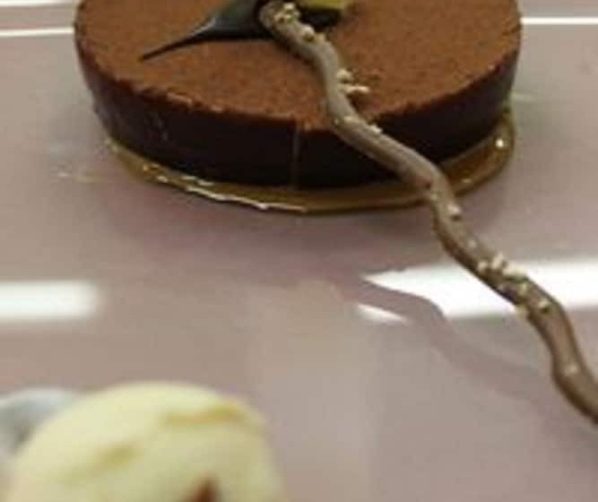 Logis Hotel Restaurant Spa Le Lac