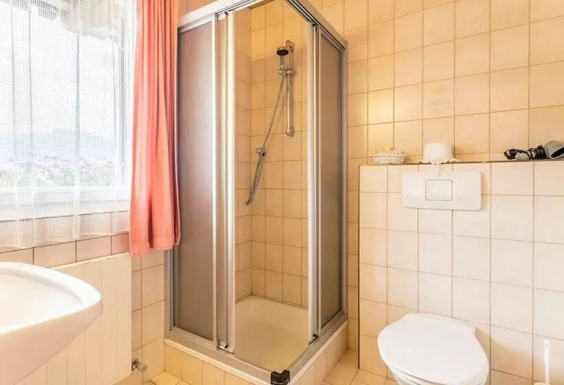 Отель Riedl Im Zillertal