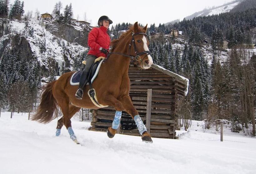 هتل Kur Sportpension Villa Anna