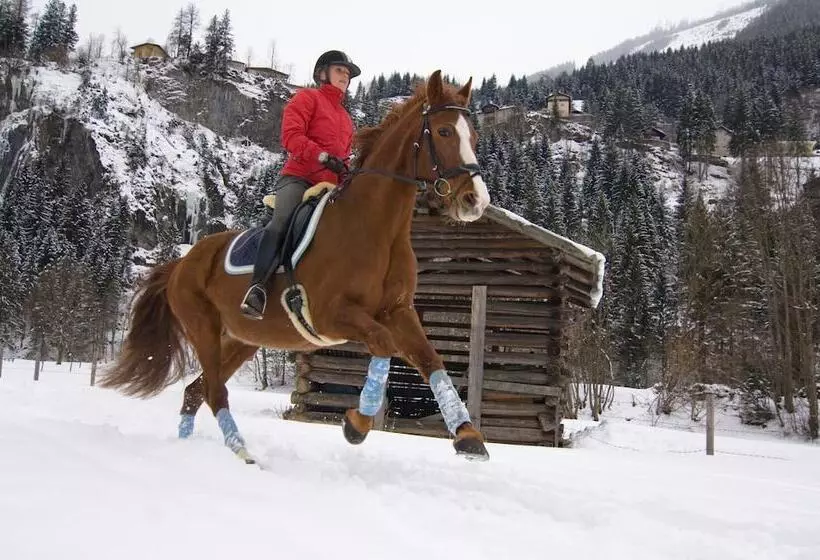 בית מלון כפרי Kur Sportpension Villa Anna