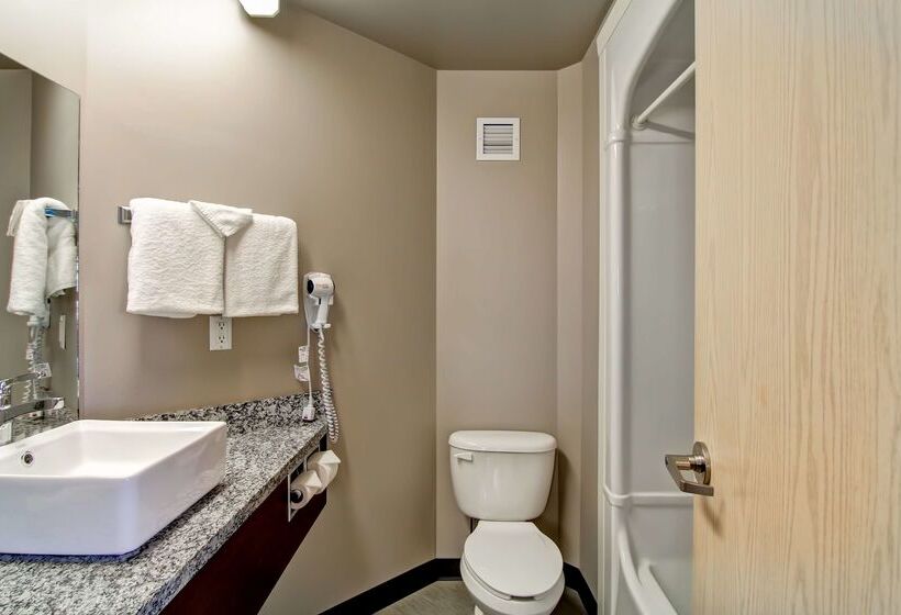 Мотель Home Inn Medicine Hat