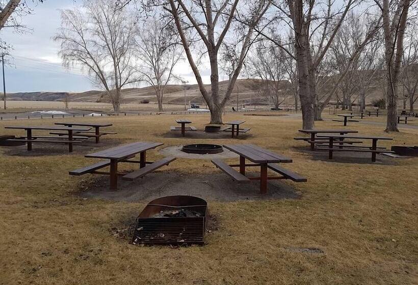 Мотель Home Inn Medicine Hat