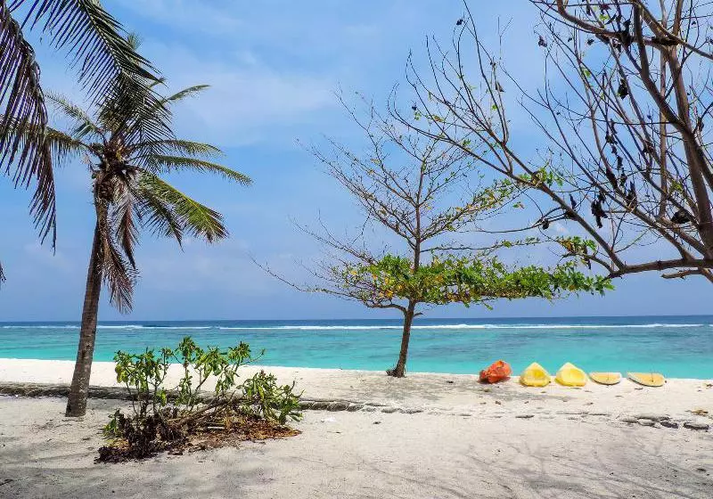 ホテル Newtown Inn