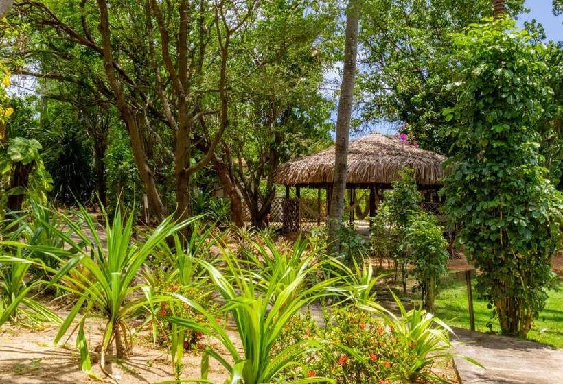 Hotel Pousada Dos Ponteiros