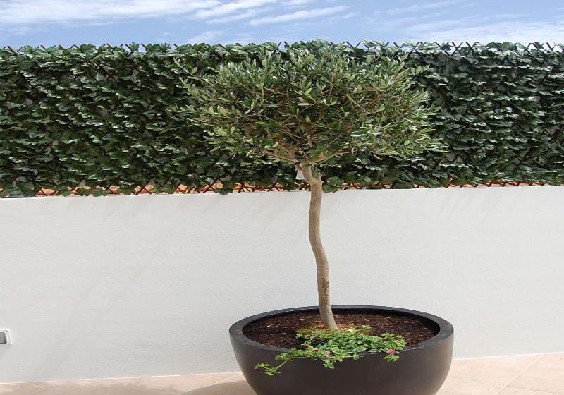 Villas Mare Residence