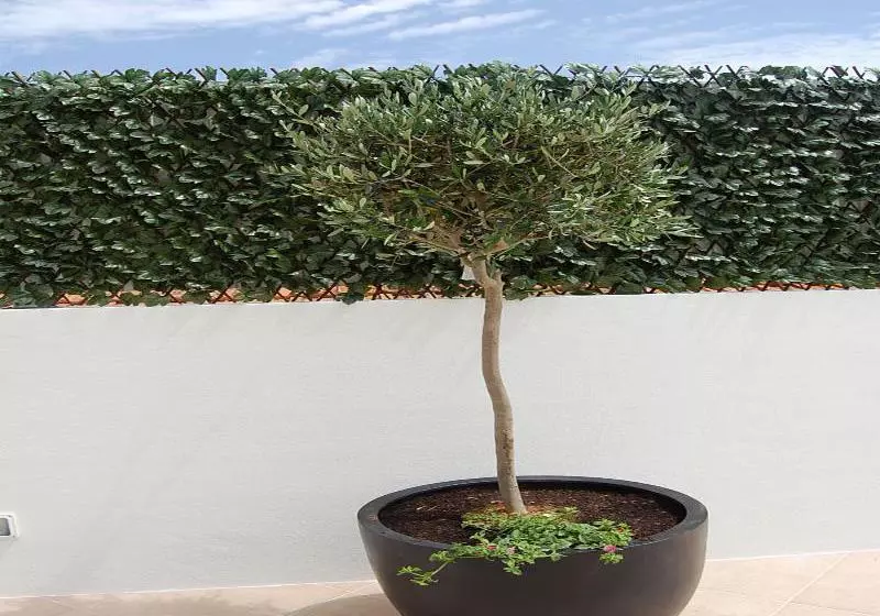 Villas Mare Residence