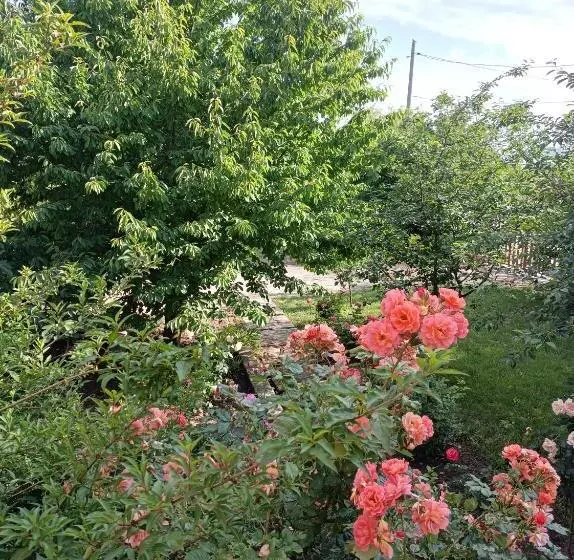 Pensiunea Carmen
