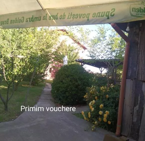 Pensiunea Carmen