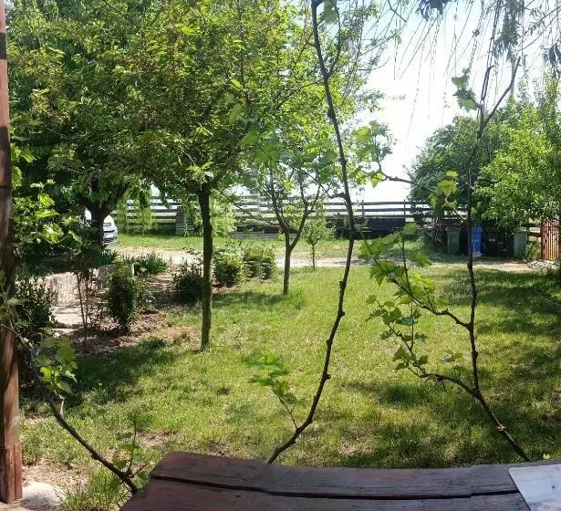 Pensiunea Carmen