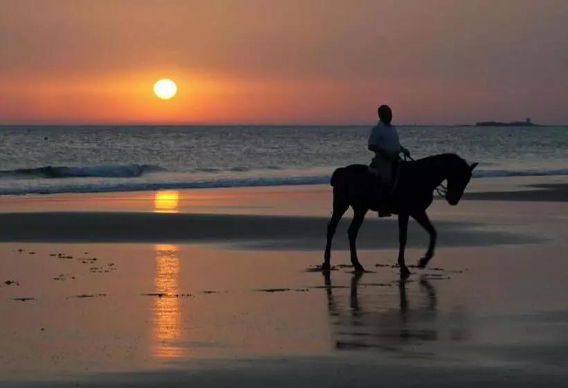 客栈 Hospederia Santiago