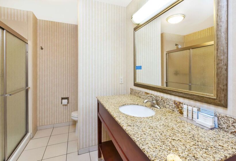 ホテル Hampton Inn Detroit/southgate