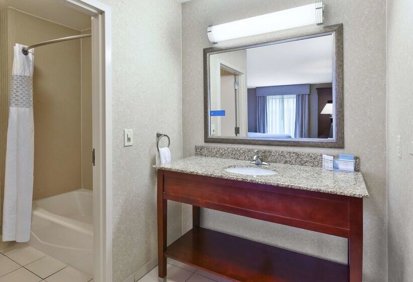 ホテル Hampton Inn Detroit/southgate