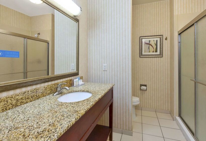 ホテル Hampton Inn Detroit/southgate