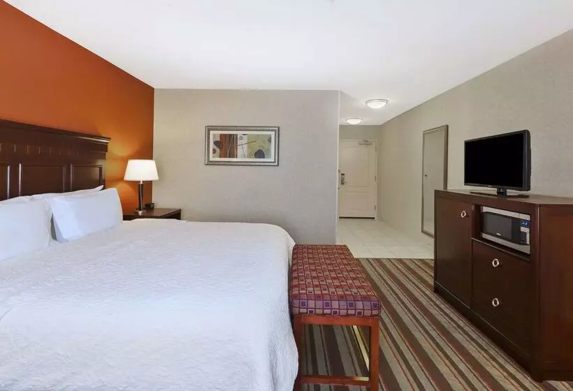 Отель Hampton Inn Detroit/southgate