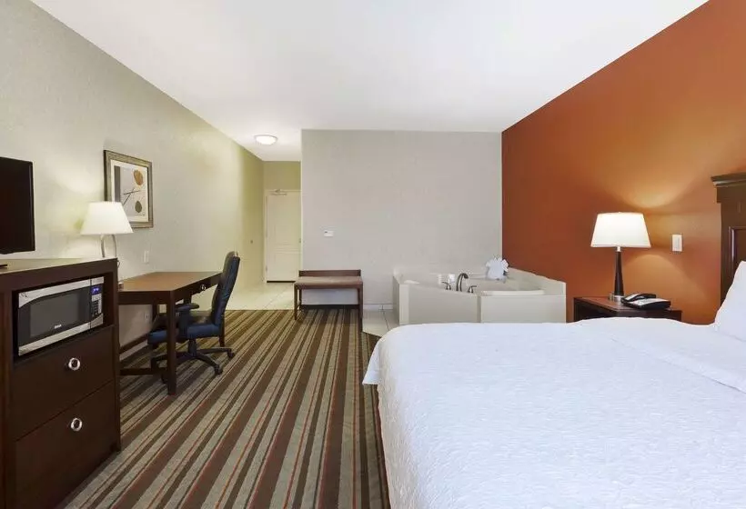 Отель Hampton Inn Detroit/southgate