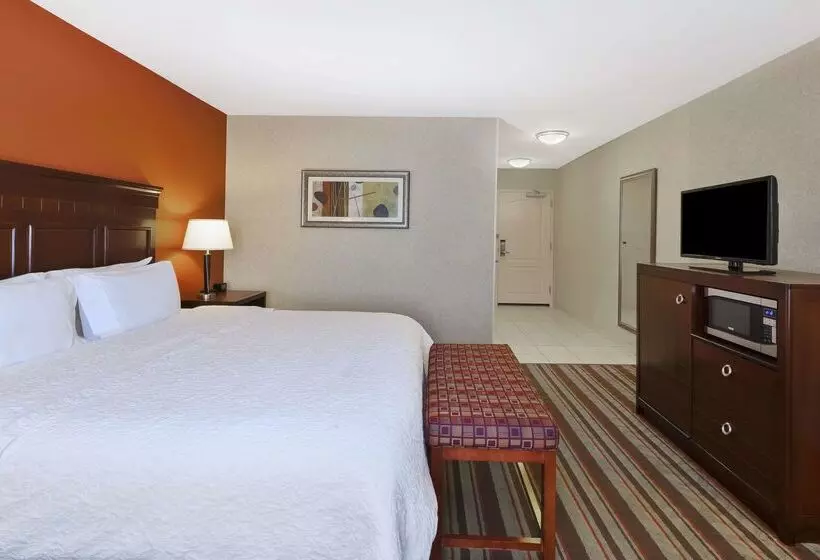 Отель Hampton Inn Detroit/southgate