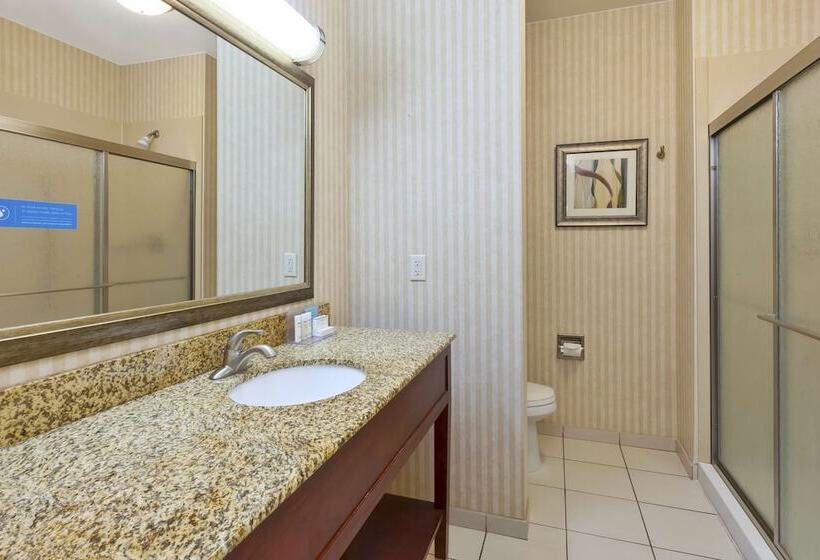 ホテル Hampton Inn Detroit/southgate