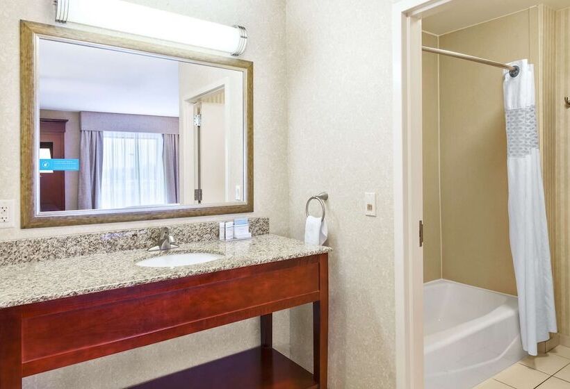 ホテル Hampton Inn Detroit/southgate