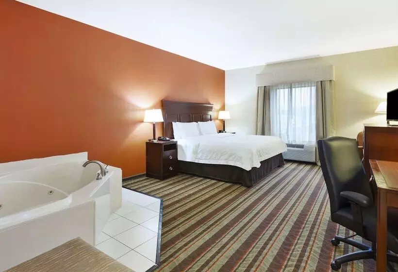 Отель Hampton Inn Detroit/southgate