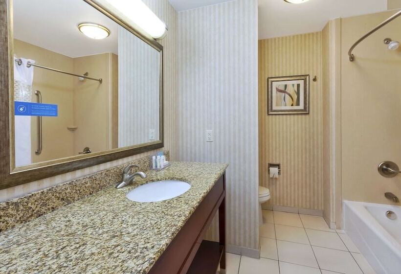 ホテル Hampton Inn Detroit/southgate