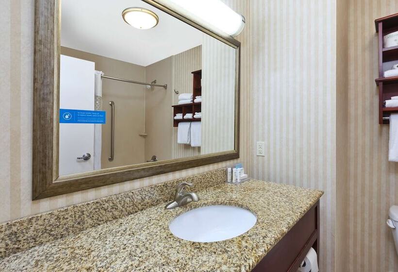 ホテル Hampton Inn Detroit/southgate