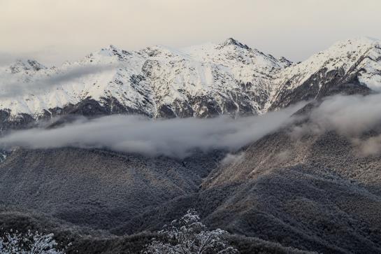 בית מלון כפרי Solis Sochi Suites